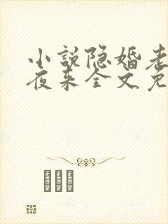 小说隐婚老公深夜来全文免费阅读