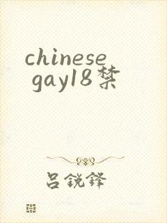 chinese gay18禁封面