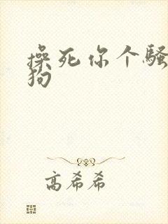 操死你个骚货母狗