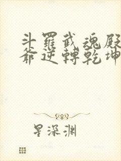 斗罗武魂殿二大爷逆转乾坤笔趣阁封面