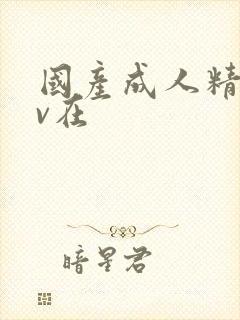 国产成人精品av在