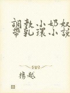 调教小奶奴穿环带乳环小说