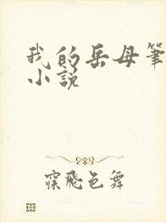 我的岳母笔趣阁小说