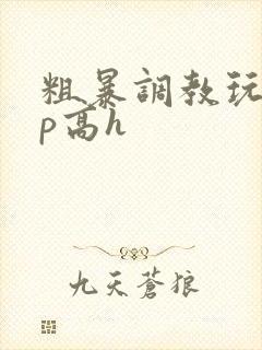 粗暴调教玩弄np高h封面