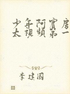 少年阿宾房东太太视频第一集