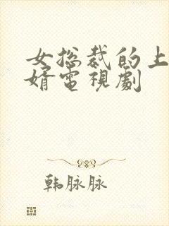 女总裁的上门女婿电视剧