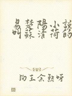 易楚阳小说女主叫苏清荷的小说名字