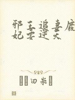 邪王追妻废材狂妃要逆天封面