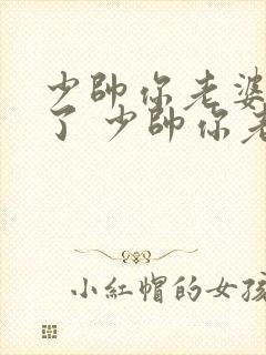 少帅你老婆又跑了 少帅你老婆又跑了封面