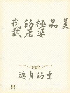 我的极品美女总裁老婆