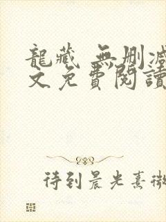 龙藏 无删减全文免费阅读