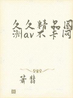 久久精品国产亚洲av不卡网站