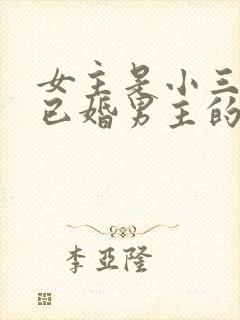 女主是小三勾搭已婚男主的文