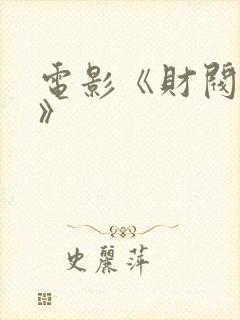 电影《财阀突击》