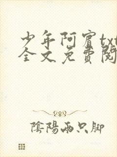 少年阿宾txt全文免费阅读