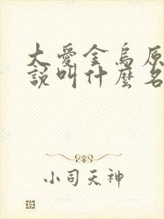 大爱金乌原著小说叫什么名字