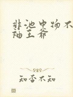 非池中物不嫁断袖王爷