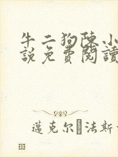 牛二狗陈小燕小说免费阅读全文无弹窗
