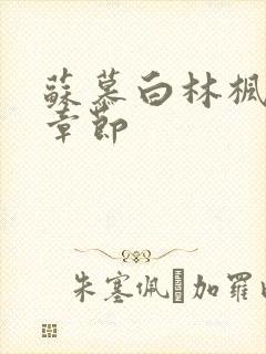 苏慕白林枫最新章节封面