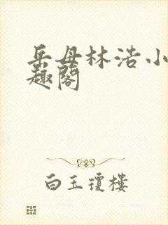 岳母林浩小说笔趣阁