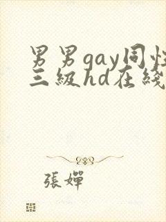 男男gay同性三级hd在线