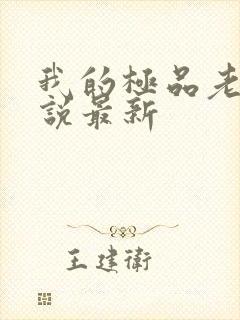 我的极品老婆小说最新