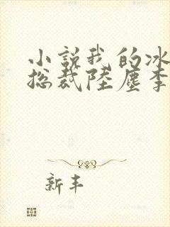 小说我的冰山女总裁陆尘李清瑶