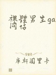 裸体男生gay网站