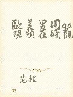 欧美男同gay视频在线观看