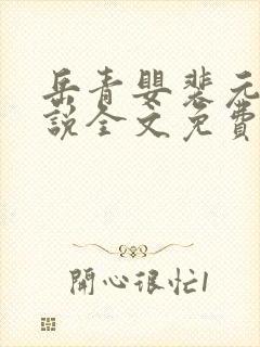 岳青婴裴元灏小说全文免费封面