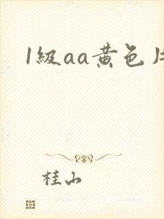 1级aa黄色片封面