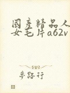 国产精品人妻熟女毛片a62v久久