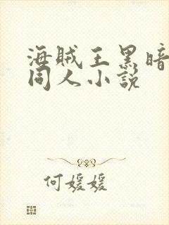 海贼王黑暗后宫同人小说