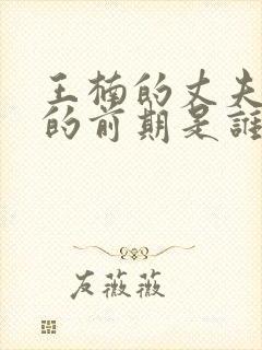 王楠的丈夫郭彬的前期是谁封面