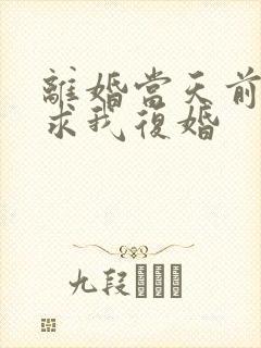 离婚当天前夫跪求我复婚