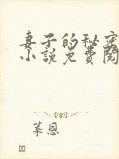 妻子的秘密吴双小说免费阅读