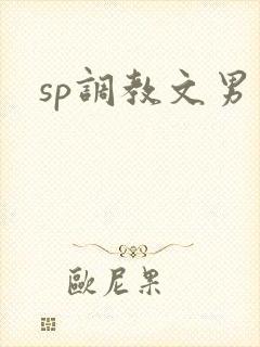 sp调教文男男封面