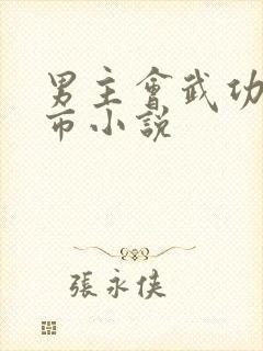 男主会武功的都市小说