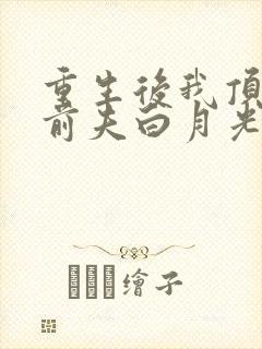 重生后我顶替了前夫白月光的结局