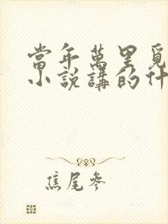 当年万里觅封侯小说讲的什么封面