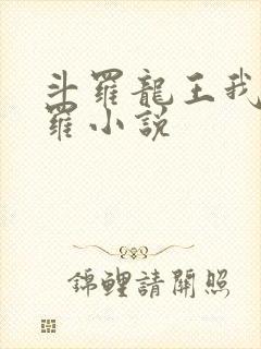 斗罗龙王我为阎罗小说