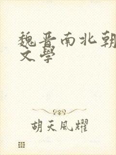 魏晋南北朝隋唐文学