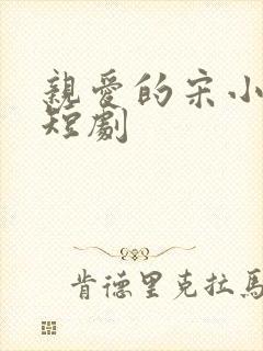 亲爱的宋小姐 短剧封面