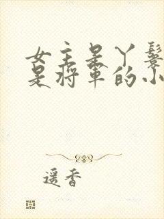 女主是丫鬟男主是将军的小说