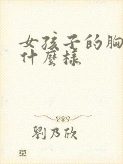 女孩子的胸部长什么样