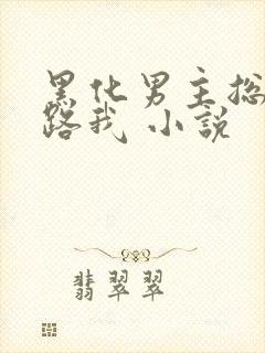 黑化男主总想套路我 小说