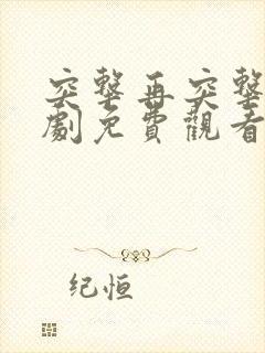 突击再突击电视剧免费观看全集封面