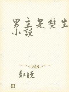 男主是双生子的小说