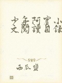 少年阿宾小说全文阅读目录免费