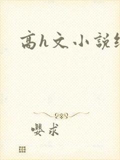 高h文小说纯肉封面